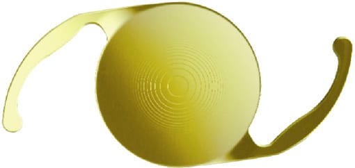 Multifocal Intraocular Lens